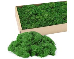 HRKVSK IJslands mos voor knutselwerkjes, 200 g Geconserveerd mos, kunstmatig mos, decoratie- of knutselmateriaal voor mosschilderijen