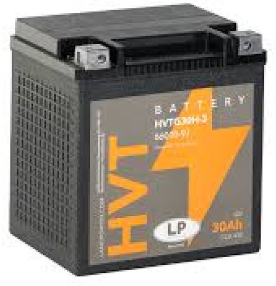 12V 30Ah GEL Motor Accu Landport GHD30H-3 Onderhoudsvrij Hittebestendig voor Harley-Davidson & Scooter
