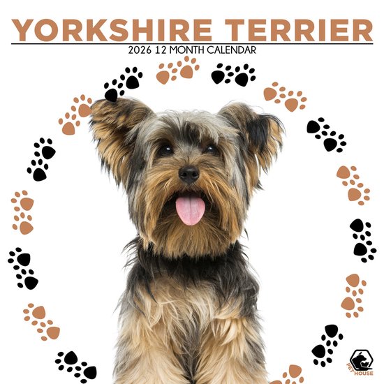 Cairn Terrier Kalender 2026 - De Kalenderman