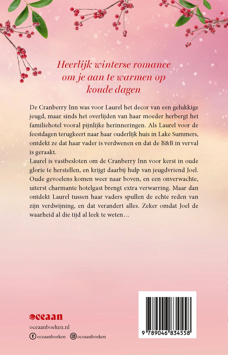 Winter in de Cranberry Inn - back cover
