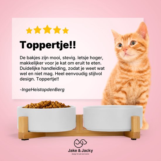 Un chaton roux adorable regarde une double gamelle blanche sur un support en bois, remplie de nourriture pour chat.