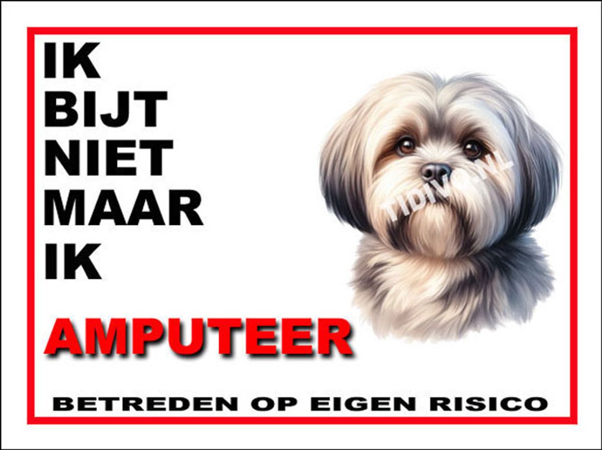 Lhasa Apso 5