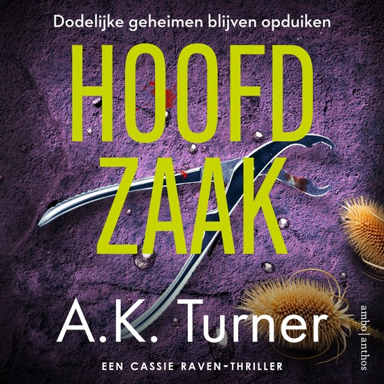 Hoofdzaak - cover