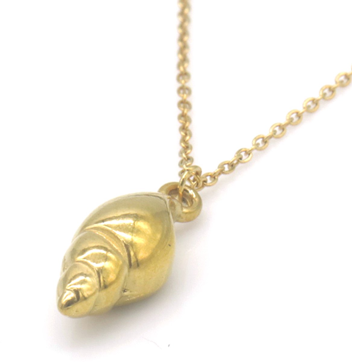 Ketting Schelp – RVS – 75cm