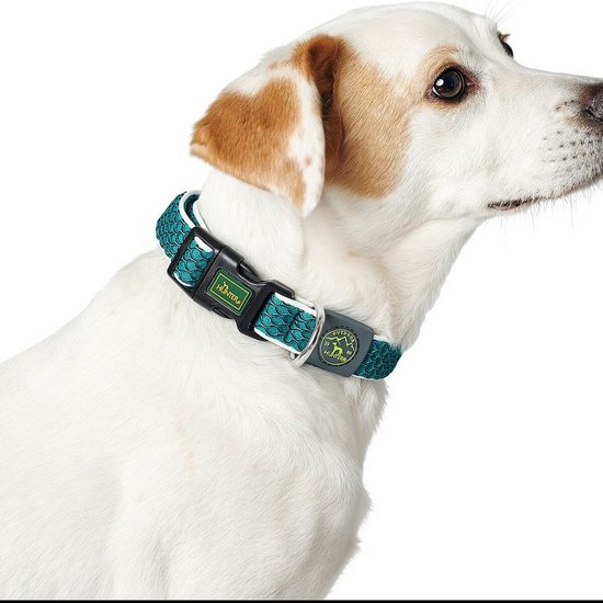 Hondenhalsband leer - naturel - 55 cm