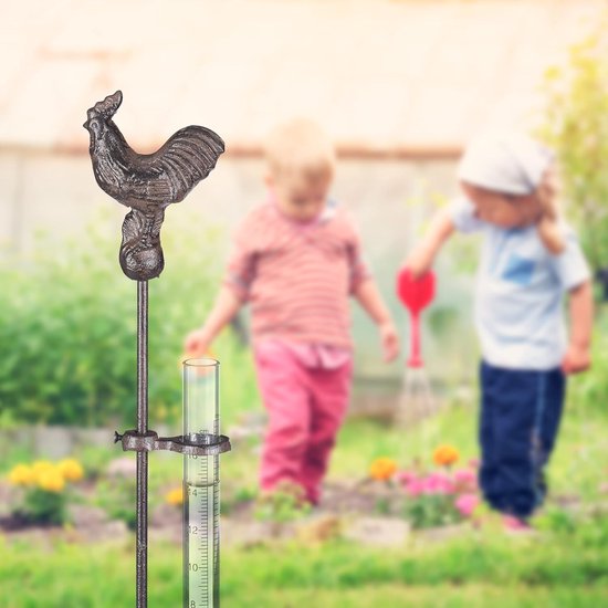 Regenmeter voor de tuin - voor buiten, afneembaar - 1 stuk - glas - 17