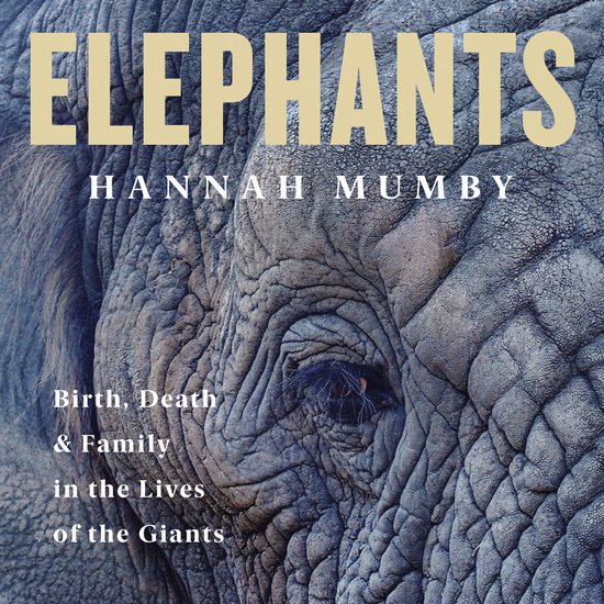 Elephants - cover