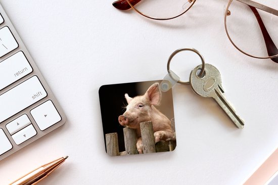 Porte-clés - Cochon - Animal - Clôture - Plastique