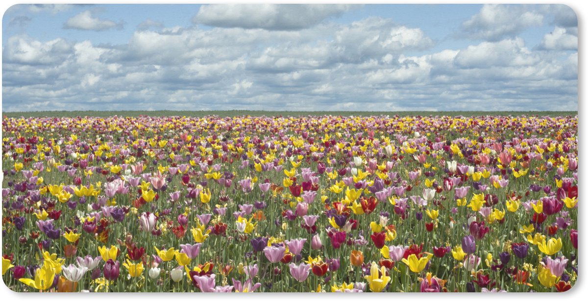 Muismat XXL 80x40 cm - Bureau onderlegger - Bureau mat Tulpen - Kleuren - Wolken - Bureaumat - Gaming mousepad xl - Bureaulegger groot - Computer deskmat