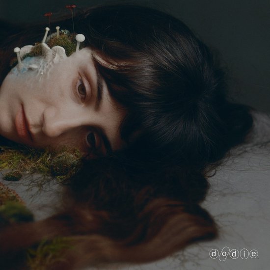 Dodie - Not For Lack Of Trying (CD)