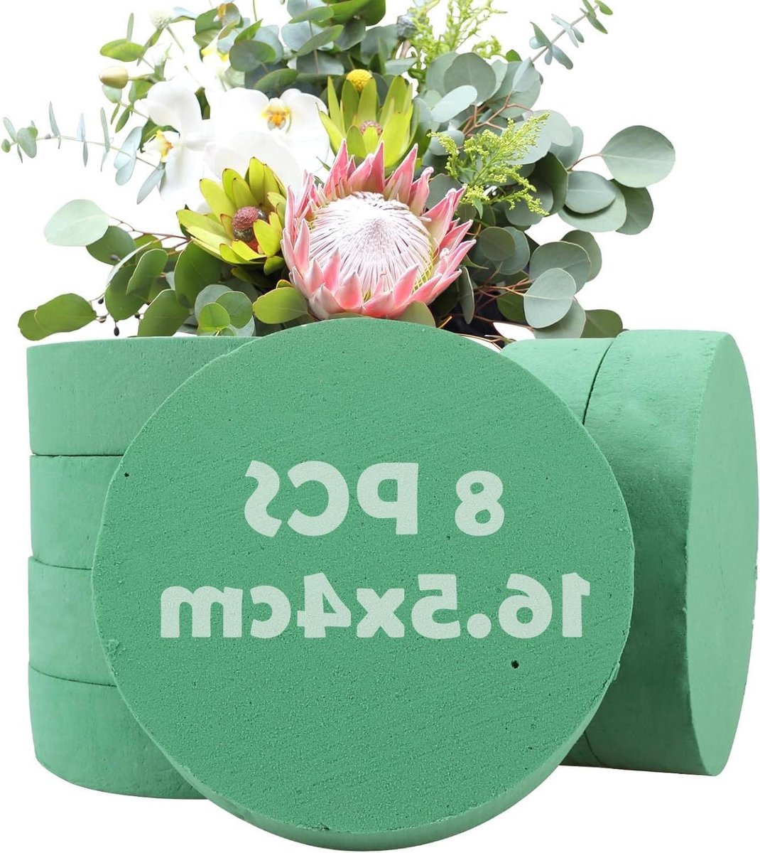 Allecto plus - 16 stuks steekschuim rond voor bloemen knutselen bruiloften - 165 x 4 cm