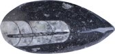 fossiel Mossel 6 x 6 x 4 cm steen zwart
