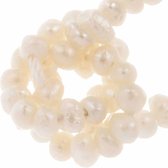 Zoetwaterparels (2-3 mm) Beige (170 Stuks)