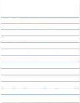 systeemkaart gelinieerd 15 x 20 cm karton wit 100 stuks