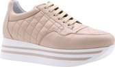 Scapa Sneaker Divers 36