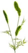 kunstplant Cattail Spray 62 cm zijde groen