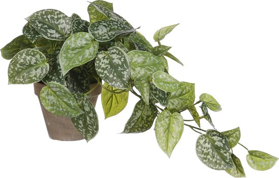 Mica Decorations Plante Scindapsus Artificielle en Pot Stan - H44 x Ø17 cm - Vert