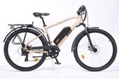 VAE E-BIKE T45