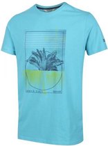 t-shirt Cline IV graphic heren katoen blauw maat xl