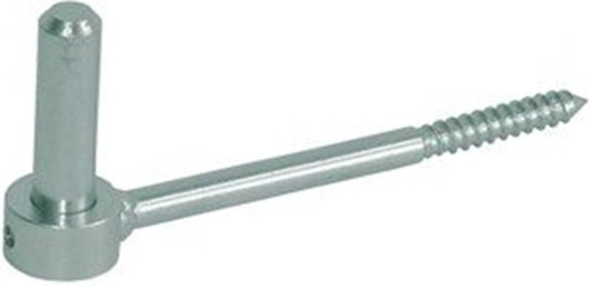 Schroefduim 16X145 Mm Gv - 10 stuk(s)