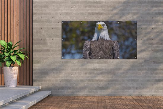 Affiche de clôture Un pygargue à tête blanche américain est assis sur un poteau en bois - 200x100 cm - Toile jardin