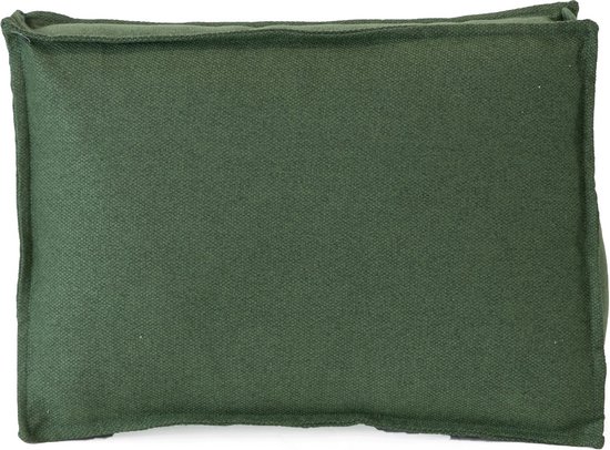 2L Home & Garden Zij- Rugkussen Lounge Olive - 60 x 40cm