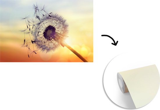 Papier fotobehang pissenlits