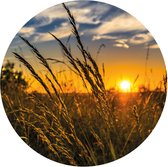 Behangcirkel Zonsondergang Met Gras | ⌀ 100 cm | Zelfklevend | Wanddecoratie | Ronde Muursticker | Muurcirkel Binnen