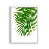 Schilderij  Tropisch palmboom blad rechts - gekleurd / Planten / Bladeren / 40x30cm