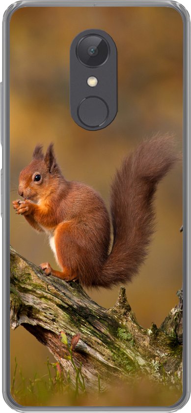 Étui téléphonique Convient pour Xiaomi Convient pour Redmi 5 étui - Écureuil - Tronc d'arbre - Forêt - Siliconen Étui téléphonique Étui téléphonique