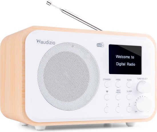 Audizio Draagbare DAB radio met Bluetooth