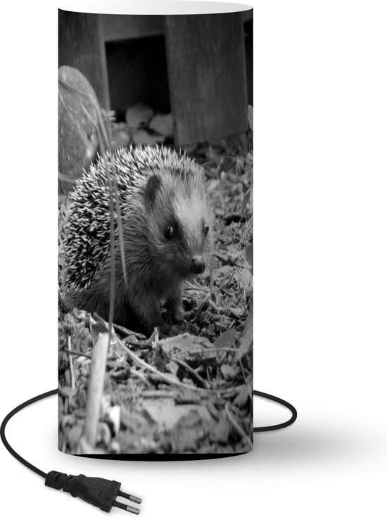 Lamp – Nachtlampje – Tafellamp slaapkamer – Egel zit tussen de bladeren – zwart wit – 54 cm hoog – Ø23 cm – Inclusief LED lamp