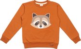 Curious Raccoons 95% Cotton (Organic), 5% Elastane Rs21-501-98 (Aw21) Truienen Truien & Vesten Bio-Kinderkleding