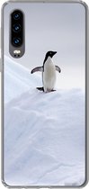 Geschikt voor Huawei P30 hoesje - Pinguïn - IJs - Winter - Siliconen Telefoonhoesje