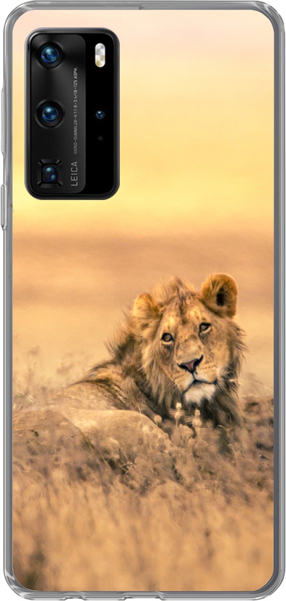 Telefoonhoesje Geschikt voor Huawei P40 Pro hoesje - Leeuwen - Gras - Lucht - Siliconen Telefoonhoesje Telefoonhoesje