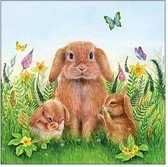 Ambiente Servetten Rabbit Family 25cm