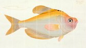 IXXI Yellow Fish - Wanddecoratie - Dieren - 140 x 80 cm