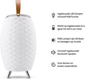 FlinQ Speakerlamp Bali XL - Draadloze speaker - Multicolor LED Lamp - Wijnkoeler