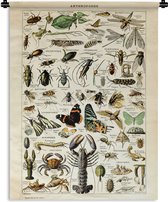 Wandkleed - Wanddoek - Dieren - Adolphe Millot - Vintage - Insecten - Kunst - 60x80 cm - Wandtapijt
