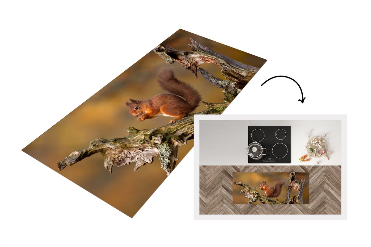 KitchenYeah Keukenloper - Loper keuken - Eekhoorn - Boomstam - Bos - Keukenloper vinyl Multicolor