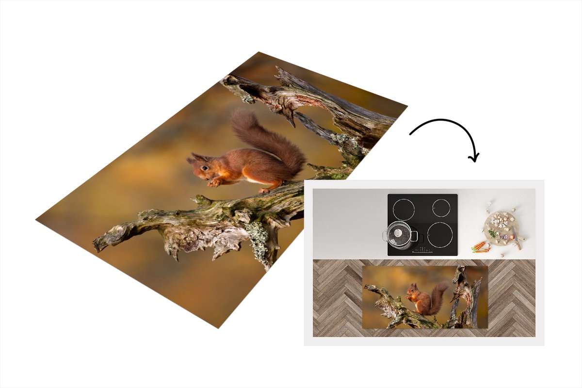 Keukenloper - Loper keuken - Eekhoorn - Boomstam - Bos - 120x60 cm - Keukenloper vinyl