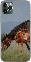 Geschikt voor iPhone 11 Pro Max hoesje - Paarden - Veulen - Natuur - Siliconen Telefoonhoesje