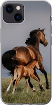 Geschikt voor iPhone 13 hoesje - Dieren - Paarden - Veulen - Siliconen Telefoonhoesje