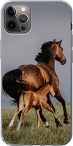 Geschikt voor iPhone 13 Pro Max hoesje - Dieren - Paarden - Veulen - Siliconen Telefoonhoesje