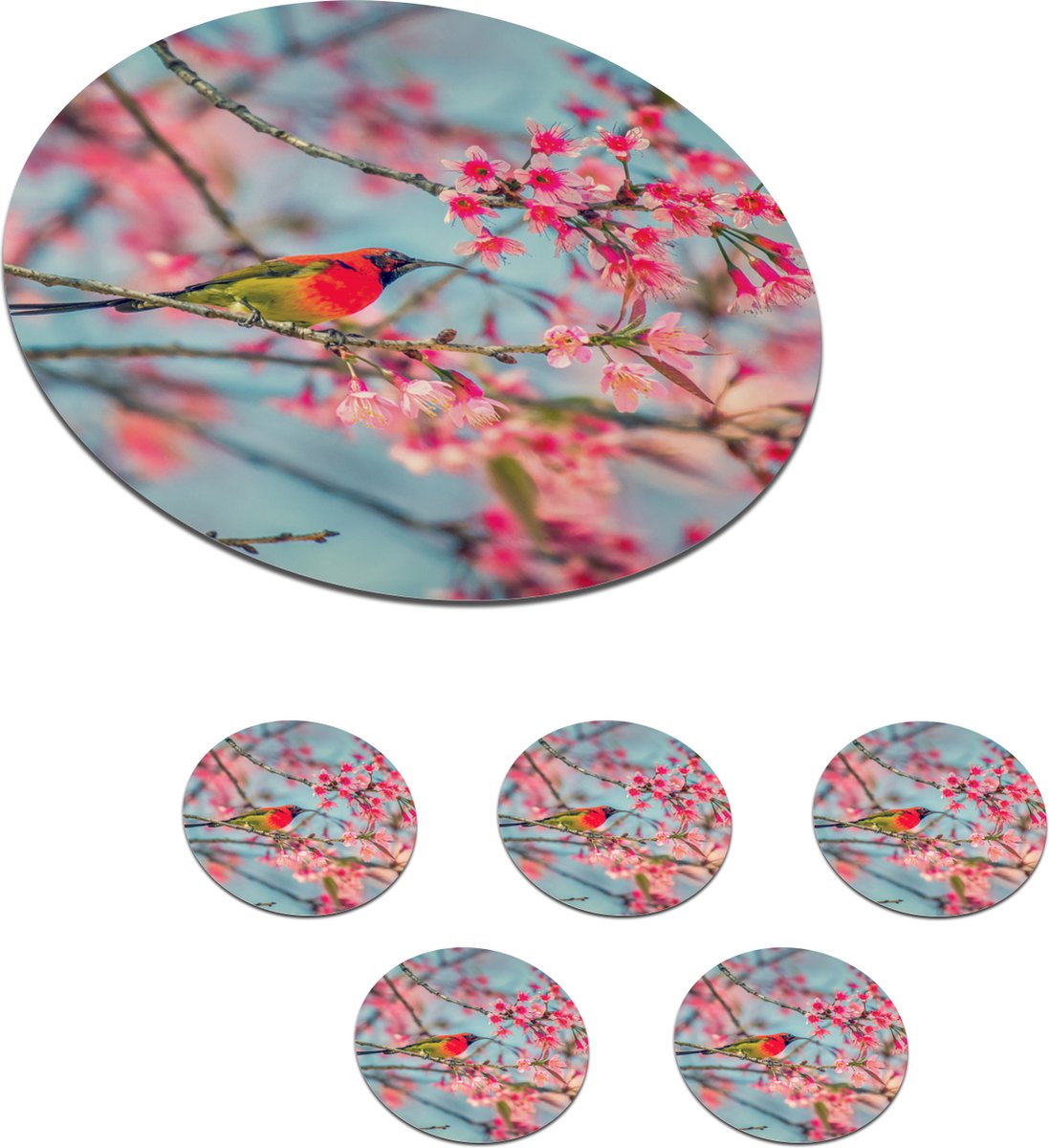 Onderzetters voor glazen - Rond - Vogel - Sakura - Kleuren - 10x10 cm - Glasonderzetters - 6 stuks