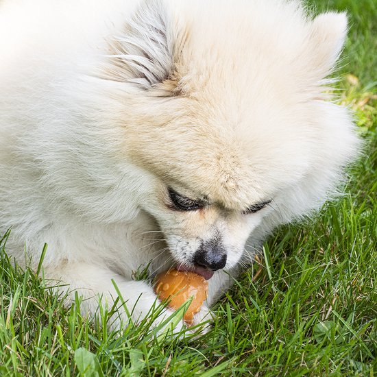 Duvoplus - Hondensnack - Hond - Garden Bites Fruity Friends L - 12,5cm - 3pcs Gemengde Kleuren - 3st