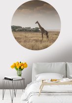 Behangcirkel giraffe op savanne | ⌀ 155 cm | Wandecoratie | Wandcirkel