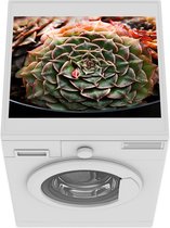 Wasmachine beschermer mat - Succulente plant close-up - Breedte 55 cm x hoogte 45 cm