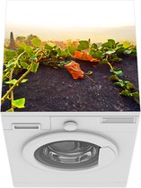 Wasmachine beschermer mat - De zonsondergang achter een Hedera klimop - Breedte 60 cm x hoogte 60 cm