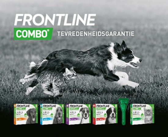 Een hond en kat rennen over een grasveld, met zes dozen Frontline Combo en een applicator in de voorgrond.